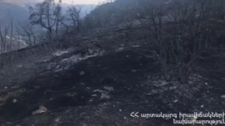 Արևիկ ազգային պարկին հարակից տարածքում առկա է մոտ 25 ծխացող օջախ. ԱԻՆ