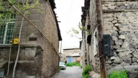 Կոնդում ապօրինի ծառահատման պատճառով վեճ է ծագել. կա երկու տուժած