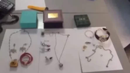 ՌԴ-ում ձերբակալել են ադրբեջանցի օլիգարխի որդուն՝ կես միլիոն դոլար արժողությամբ ոսկին ձեռքին