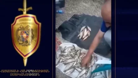Արփա գետից հոսանքով ձուկ բռնողները բերման են ենթարկվել. որսացել են 130 կարմրախայտ. ՀՀ Ոստիկանություն