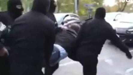 ՏԵՍԱՆՅՈՒԹ. Բերման ենթարկվող ցուցարարը սկսեց երգել