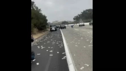 Անսահման երջանիկություն. ինչ է լինում, երբ Կալիֆորնիայում ինկասատորների մեքենայից հանկարծ փող է թափվում