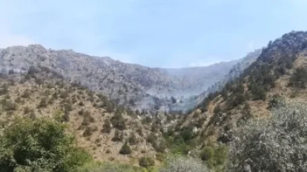 Գեղի գյուղի բուսածածկ տարածքներում բռնկված հրդեհի մարման աշխատանքները շարունակվում են