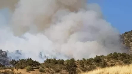 «Խոսրովի անտառի մոտակայքում հրդեհ կա, բայց այն արգելոցից մի քանի կիլոմետր հեռու է». փոխնախարար Վարդան Մելիքյան