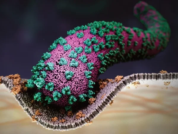 Աշխարհը կանգնած է նոր սպառնալիքի առաջ՝ Մարբուրգի վիրուս