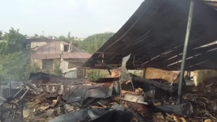 Խոսրովի անտառ պետական արգելոց տանող ճանապարհին այրվում է 17 հա բուսածածկույթ