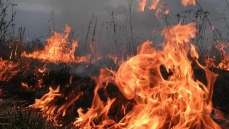 Ջերմուկի անտառներում հրդեհի 4 օջախ կա. թշնամու կողմից դիտարկվող հատվածներում հրդեհաշիջում անել հնարավոր չէ