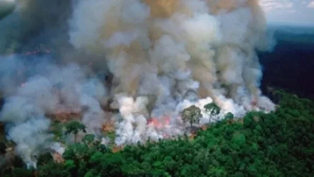 Բրազիլիայի  դեսպաններին հետ են կանչել արձակուրդից Ամազոնիայի հրդեհների պատճառով