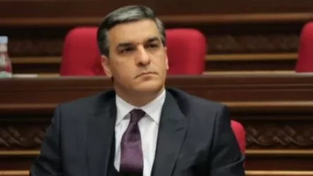 Խոշտանգումների և անմարդկային վերաբերմունքի վերաբերյալ տեսանյութերի մեծագույն մասն իրականություն է. ՀՀ ՄԻՊ