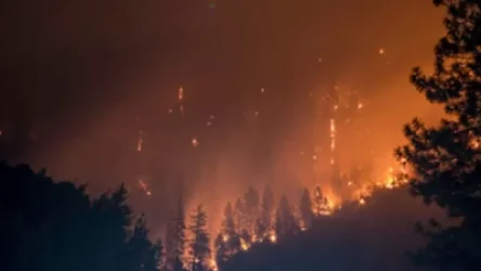 ՏԵՍԱՆՅՈՒԹ.  Նոր կադրեր  Ամազոնի հրդեհվող արևադարձային անտառներից