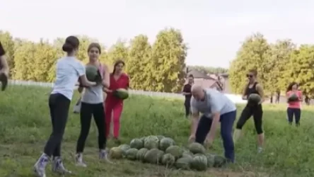 ՏԵՍԱՆՅՈՒԹ․ Լուկաշենկոն ձմերուկ է հավաքում