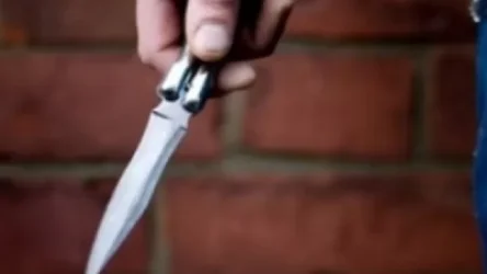 Ուկրաինացի երիտասարդները Երեւանի կենտրոնում շրջում էին սառը զենքը գրպաններում