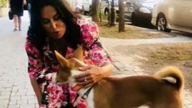 Նաիրա Զոհրաբյանը շնորհակալություն է հայտնել բոլոր կենդանիների անունից