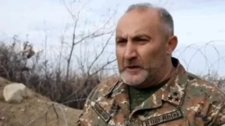 Հենց նոր խոսել եմ Քյոխի հետ. մանրամասներ Եղնիկների իրավիճակի մասին