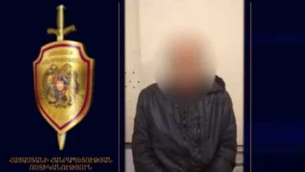 81-ամյա կինը մահացել էր որդու պատճառած վնասվածքներից. Շենգավիթի ոստիկանների բացահայտումը