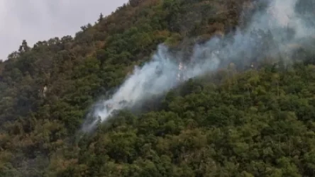 Ջերմուկի անտառային հրդեհից բռնկված երկու օջախ հակառակորդի կողմից դիտարկման տակ է