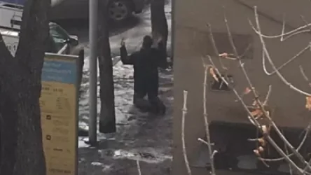 «Ո՞վ է այս մարդը». Աննա Պարսամյան