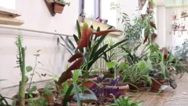 Լոռու մարզի դպրոցներում կտեղադրվեն արևային վահանակներ, կկառուցվեն ջերմոցներ