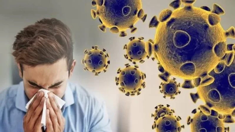 Հայաստանում հաստատվել է կորոնավիրուսով վարակվելու 1174, մահվան՝ 24 նոր դեպք