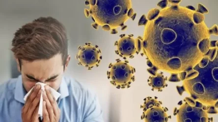 Հայաստանում հաստատվել է կորոնավիրուսով վարակվելու 1174, մահվան՝ 24 նոր դեպք