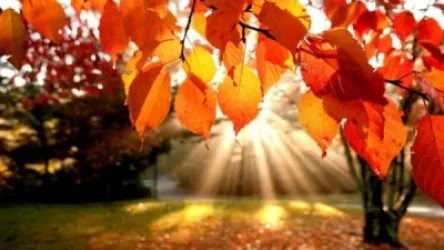 Առաջիկա օրերին ջերմաստիճանը աստիճանաբար կբարձրանա