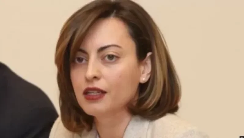 Ամուլսարի մասին իմ մտահոգությունները ես հայտնել եմ իմ քաղաքական թիմում. Նազարյան