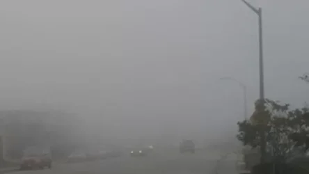 Թալինի և Սպիտակի տարածաշրջաններում մառախուղ է