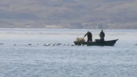 Դեկտեմբերի 1-ից Սևանա լճում արգելվում է արդյունագործական ձկնորսությունը