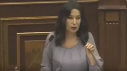 ՏԵՍԱՆՅՈՒԹ.  «Հա-հա-հի-հի»-ներ, մուկն ու կատու ԱԺ-ում