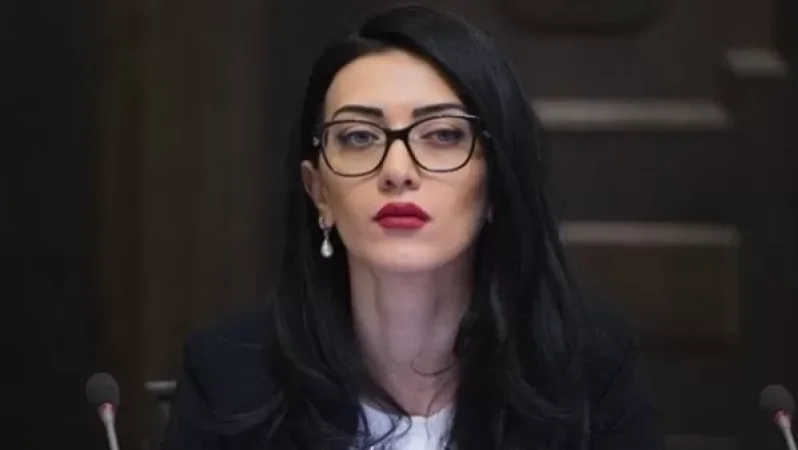 Փաշինյանը շատ մասնագիտական բաներ չի հասկանում․ Հովհաննիսյանը՝ բանկային գաղտնիքի օրինագծի մասին