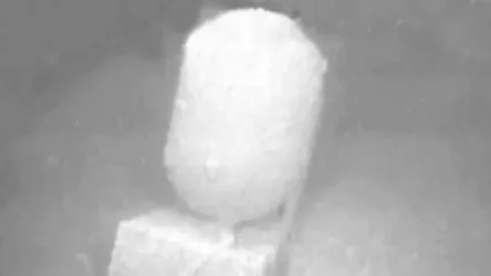 Կասպից ծովի ադրբեջանական հատվածում հայտնաբերվել են ԽՍՀՄ տարիներին նետված ականներ