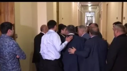 ՏԵՍԱՆՅՈՒԹ. Լեզվակռիվ ԱԺ միջանցքում