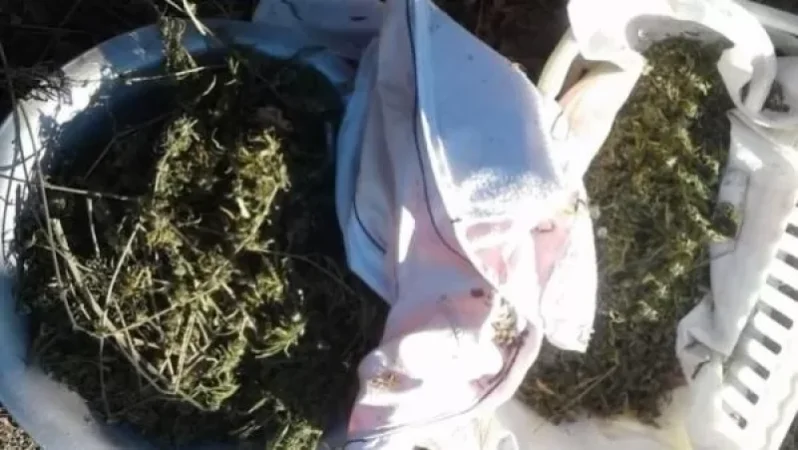 Արտաշատի ոստիկանները ապօրինի զինամթերք և առանձնապես խոշոր չափերով թմրամիջոց են հայտնաբերել