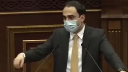 ՏԵՍԱՆՅՈՒԹ. Որքան ուշ թեստավորվի ժամանողն, էդքան լավ. Ավինյանը՝ օտարերկրացիների մուտքի մասին