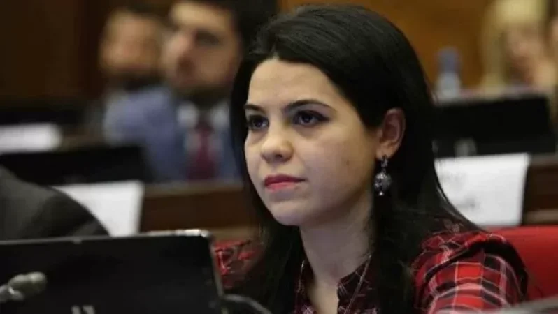 Ադրբեջանի և Թուրքիայի կողմից ստեղծված ահաբեկչական վտանգը չի վերացել. պատգամավորը՝ ԵԽԽՎ-ում