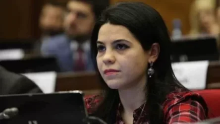 Ադրբեջանի և Թուրքիայի կողմից ստեղծված ահաբեկչական վտանգը չի վերացել. պատգամավորը՝ ԵԽԽՎ-ում