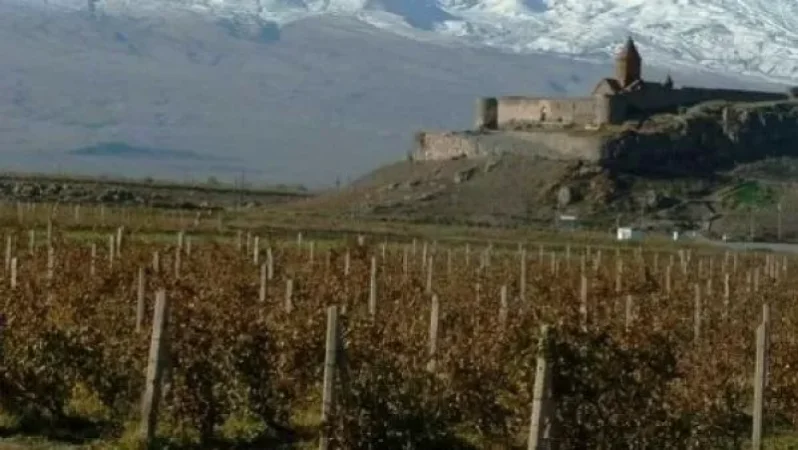 Հորդորում ենք ավարտել խաղողի այգիների այգեթաղի աշխատանքներ. Էկոնոմիկայի նախարարություն