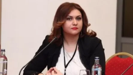 Նման հայտարարություններից հետո մեզ մոտ թող տագնապ չսկսի․ Էլիբեգովան՝ Հասանովի հայտարարության մասին