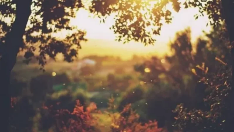 Առաջիկայում առանց տեղումների եղանակ