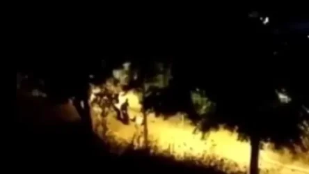 ՏԵՍԱՆՅՈՒԹ․ Ահաբեկչություն՝ Իսրայելում