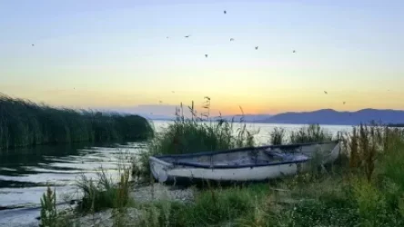 Սևանա լճի ափամերձ հատվածում անտառածածկ տարածքները կավելանան