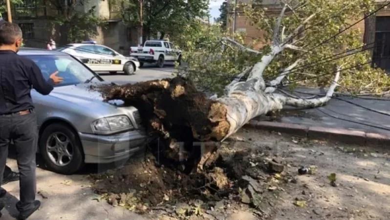 Ուժգին քամի Թբիլիսիում. տապալվել են ծառեր, կան վիրավորներ