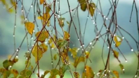 Օդի ջերմաստիճանը սեպտեմբերի 22-ին կնվազի