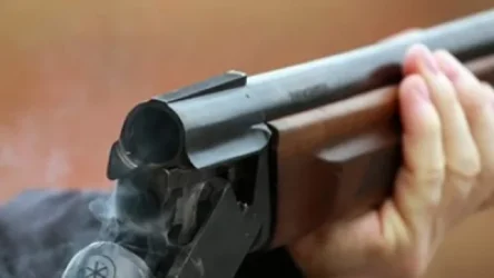 Վանաձորում որսորդական հրացանով կատարված սպանության փորձը բացահայտվել է