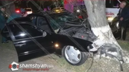 Mercedes-ը բախվել է ծառին. կան վիրավորներ. ավտոմեքենայում հայտնաբերվել է փայտե մահակ