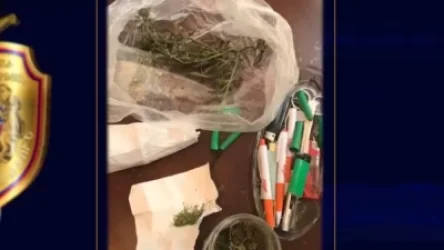 ՏԵՍԱՆՅՈՒԹ. Երևանում դեղատան տնօրենի տանը թմրանյութ են հայտնաբերել