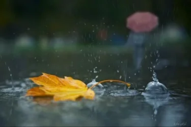 Օդի ջերմաստիճանն աստիճանաբար կնվազի