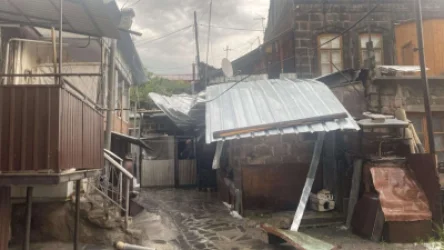 Վնասված տանիքներ, տապալված ծառեր. քամու հետևանքով գրանցվել են արտակարգ դեպքեր