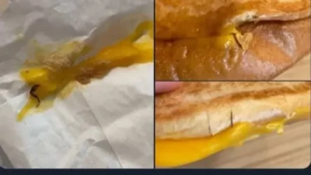 ԼՈՒՍԱՆԿԱՐՆԵՐ. Բորբոս, միջատներ՝ ՌԴ-ում McDonalds-ին փոխարինած «Вкусно и точка» արագ սննդի ռեստորանների բուրգերներում