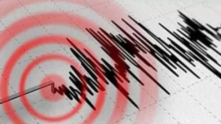 Երկրաշարժ Վրաստանում